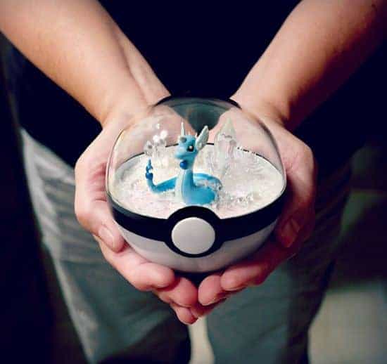 Pokeball Terrarien