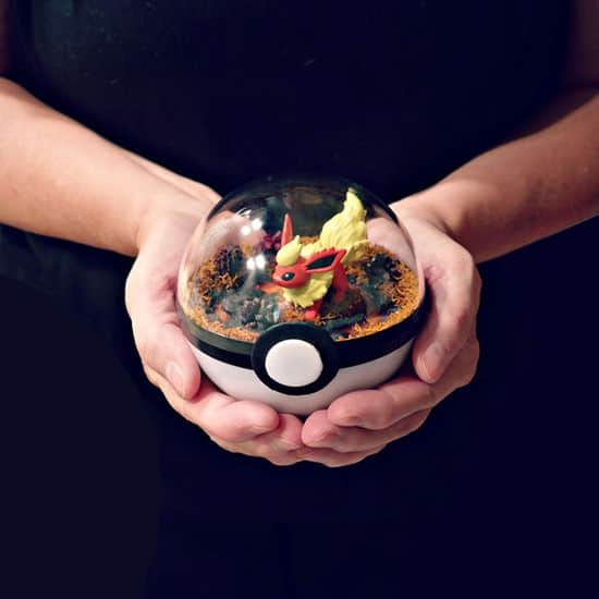 Pokeball Terrarien