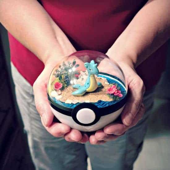 Pokeball Terrarien