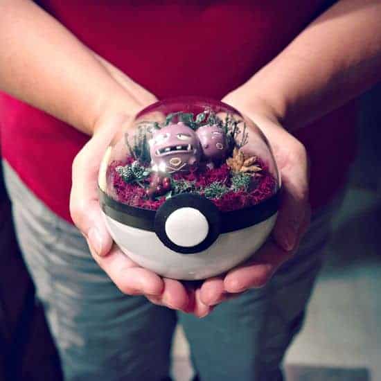 Pokeball Terrarien