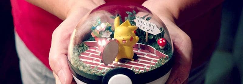 Pokeball Terrarien