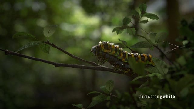 Welcome To Our World: Die Steampunk-Insekten von Armstrong White
