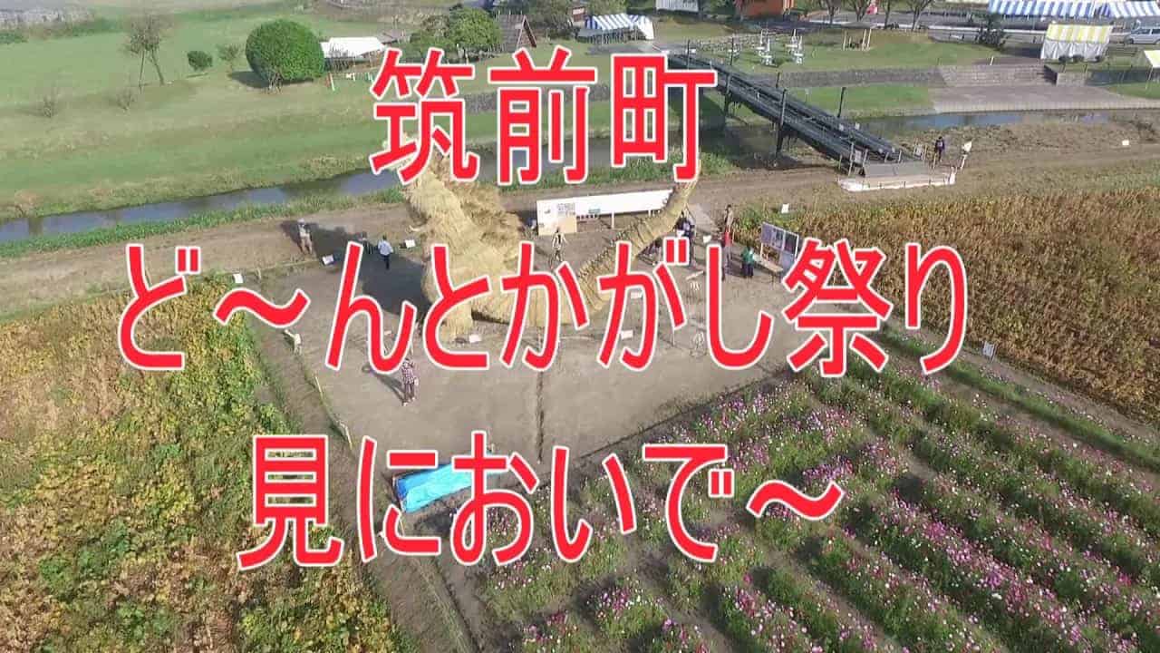 7 Meter hoher Godzilla, nachgebaut aus Stroh