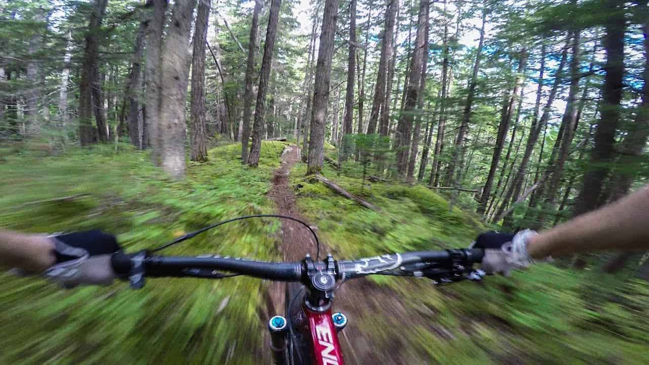 Calor pela floresta: mountain bike encontra estabilização de imagem