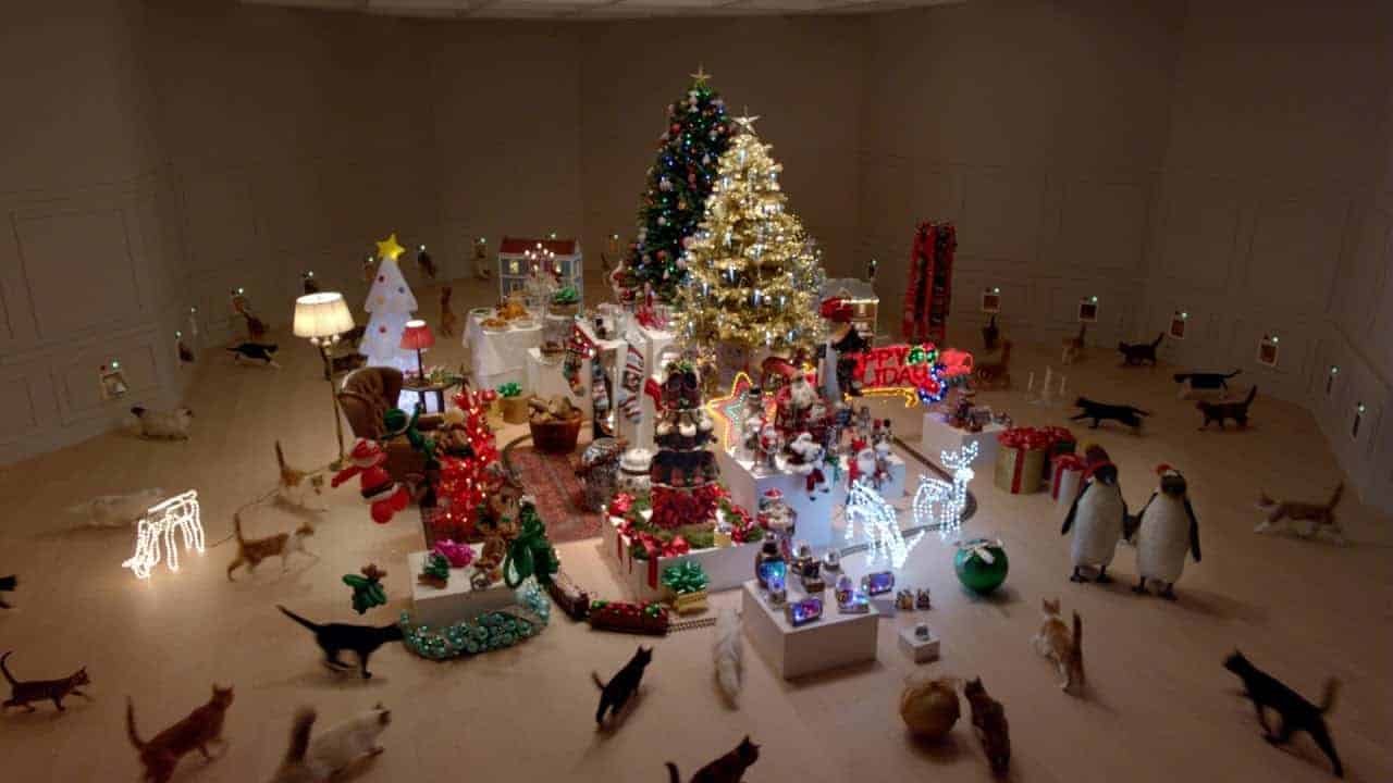 Bir sürü kedi, süslenmiş bir Noel odasında oynuyor