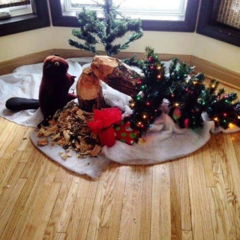 شجرة عيد الميلاد الكندية