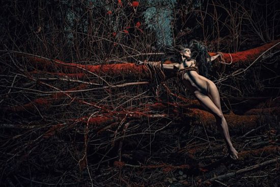 Die düsteren Welten von Stefan Gesell