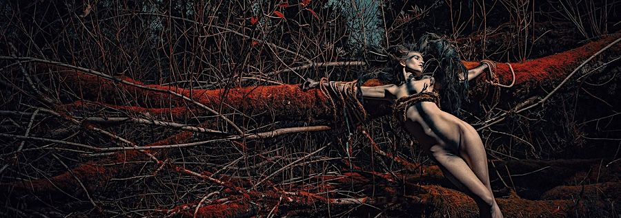 Die düsteren Welten von Stefan Gesell