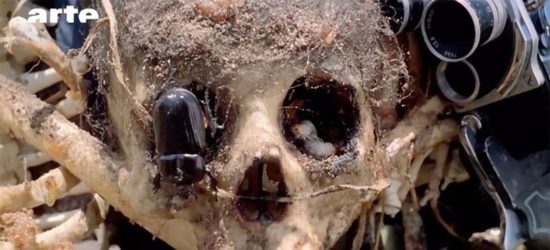 Wie Gore, Splatter und das blutige Gemetzel von Horrorfilmen uns eine politische Geschichte erzählen