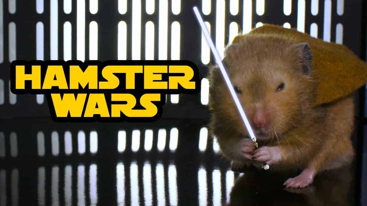 Hamster Wars: Edición de hámster de Star Wars