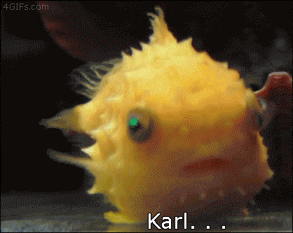 Karl, você é um peixe!