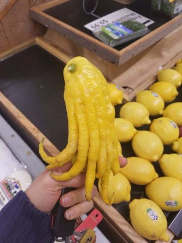 When life gives you lemons make Cthulhu