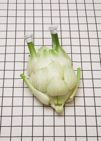Alles Veggie, oder was?