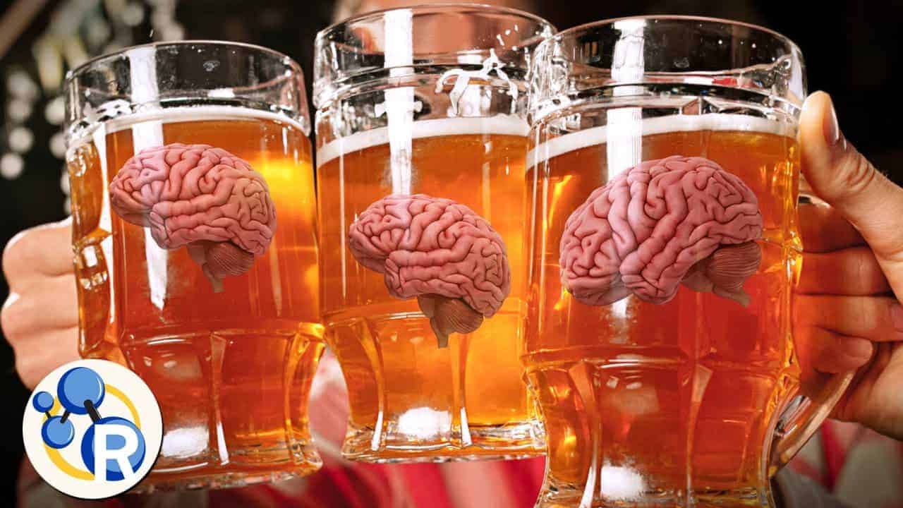 wieso wird man bei alkohol konsu