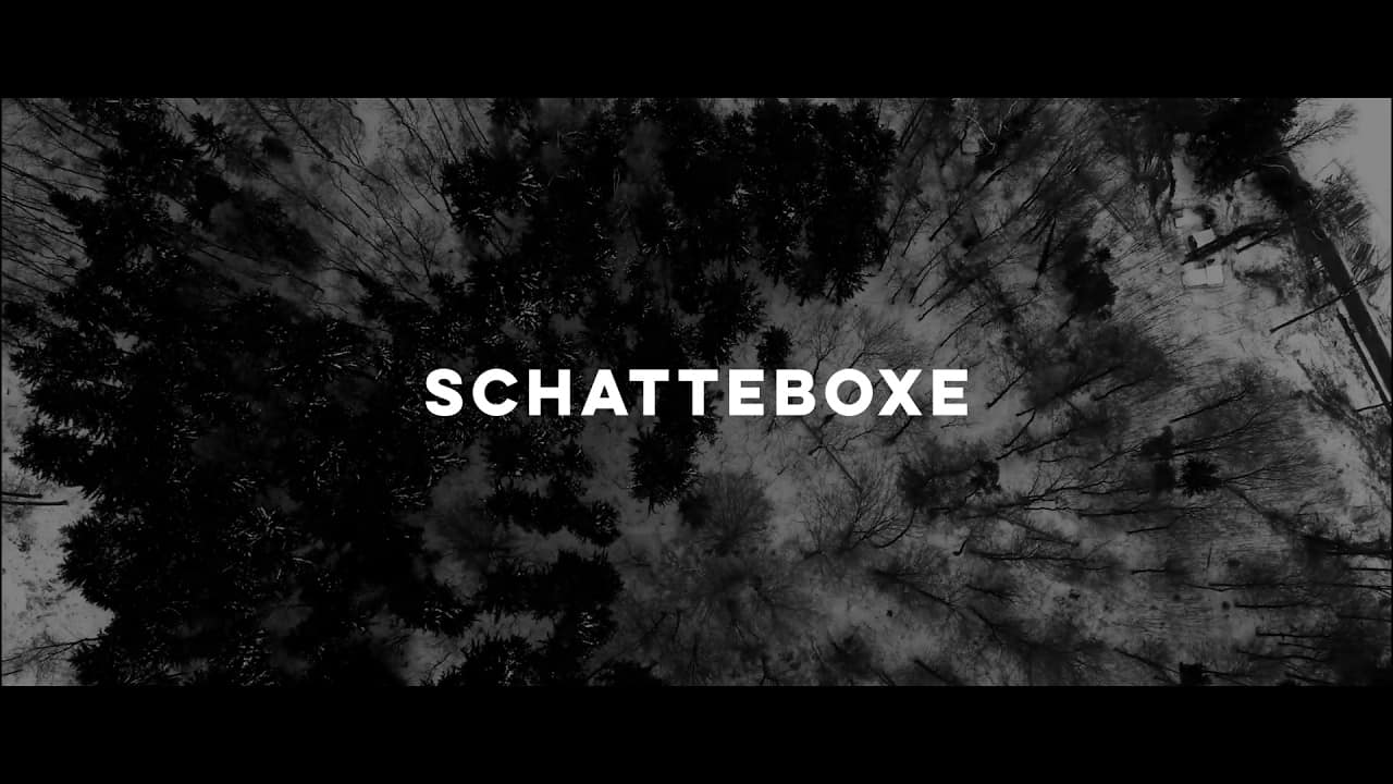 DBD: Schatteboxe - ZüriWest