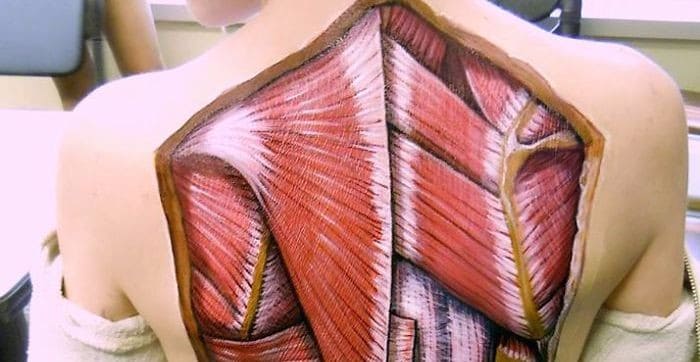 Realistic anatomical paintings show the structures that lie under our skin