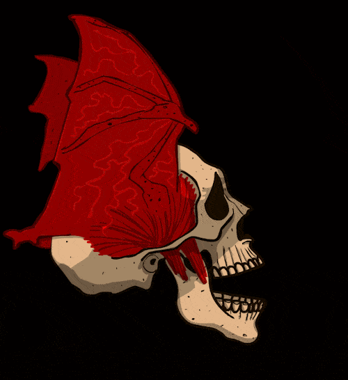 Animated Flying Skull
