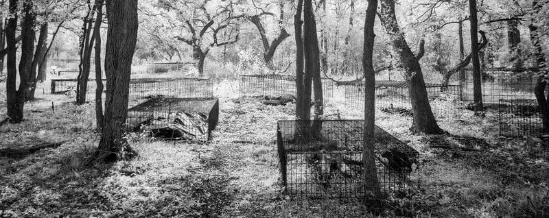 Bilder von einer Body Farm in Texas
