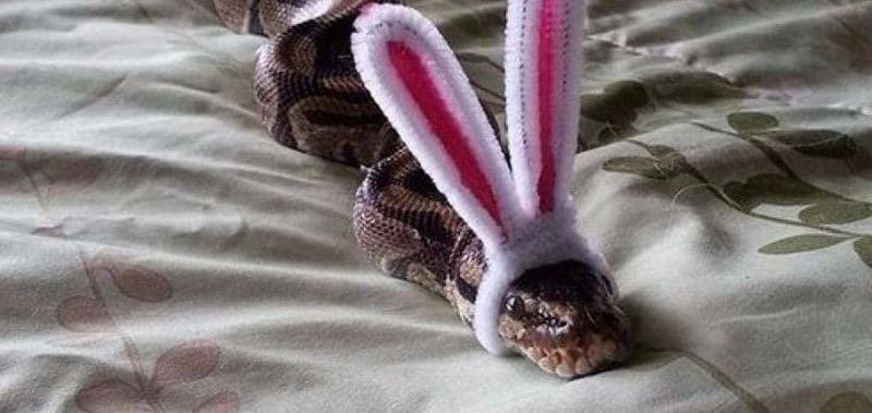 froehliche ostern kl