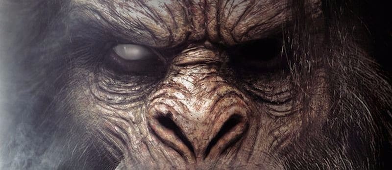 Hunting Grounds – Trailer und Poster