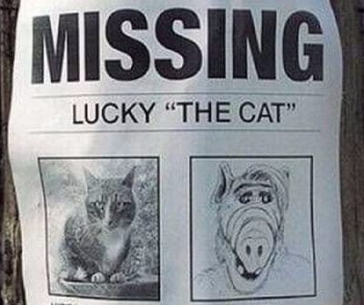 lucky vermisst kl
