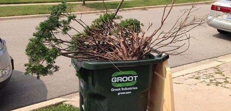 I was Groot!