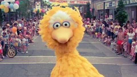 Big Bird does Sabotage