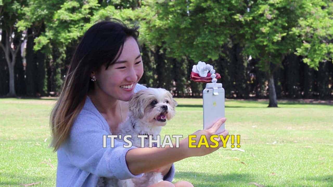 Flexy Paw: So gelingt das perfekte Haustier-Selfie