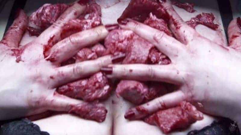 Der Wahnsinn singt über Fleisch