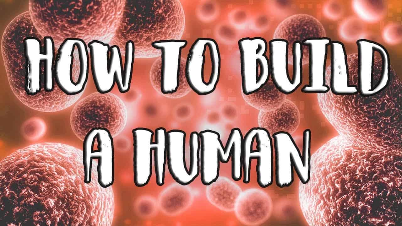 Kako zgraditi človeka