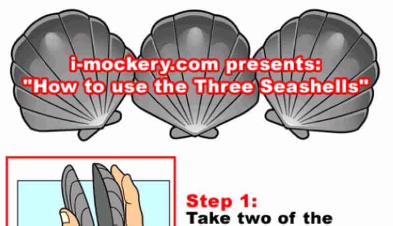 Wie Funktionieren Die Drei Muscheln