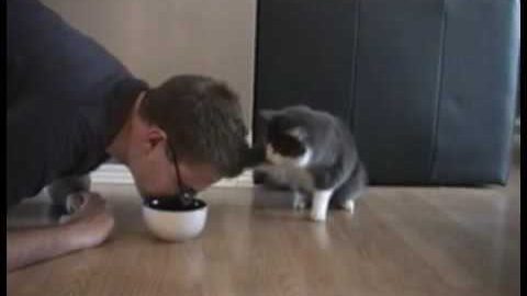 The cat's reaction when a man pretends to steal its food is priceless