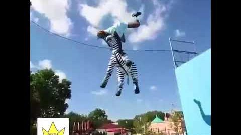 Mit einem Zebra auf dem Trampolin