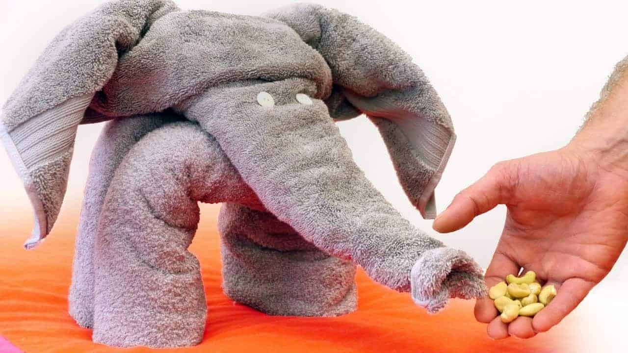 Wie man aus einem Handtuch einen Elefanten faltet