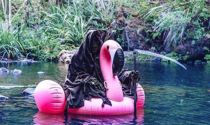 The Swim Reaper: New Zealand government gives death an Instagram page