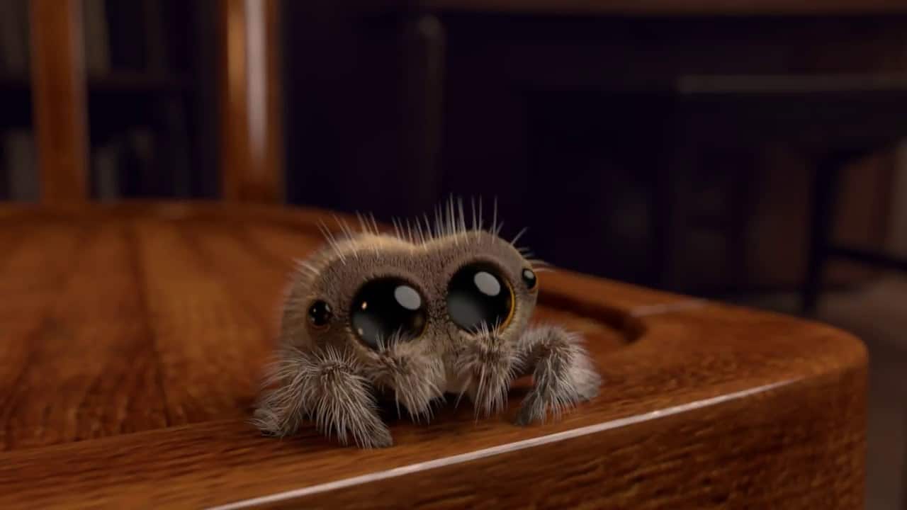 Lucas the Spider: Kalt hier draussen