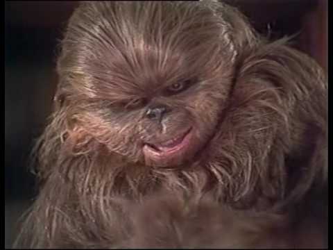 Die Geschichte hinter dem fürchterlichen «Star Wars Holiday Special» aus dem Jahr 1978