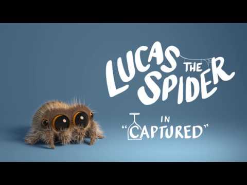 Lucas the Spider – Captured: Neue Abenteuer von Lucas, der niedlichsten Spinne der Welt