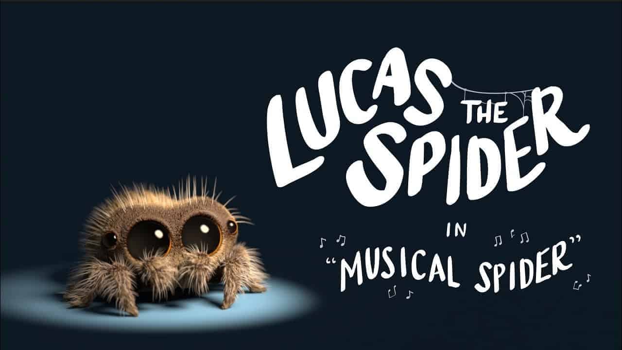 Lucas the Spider: Die niedlichste Spinne der Welt macht Musik