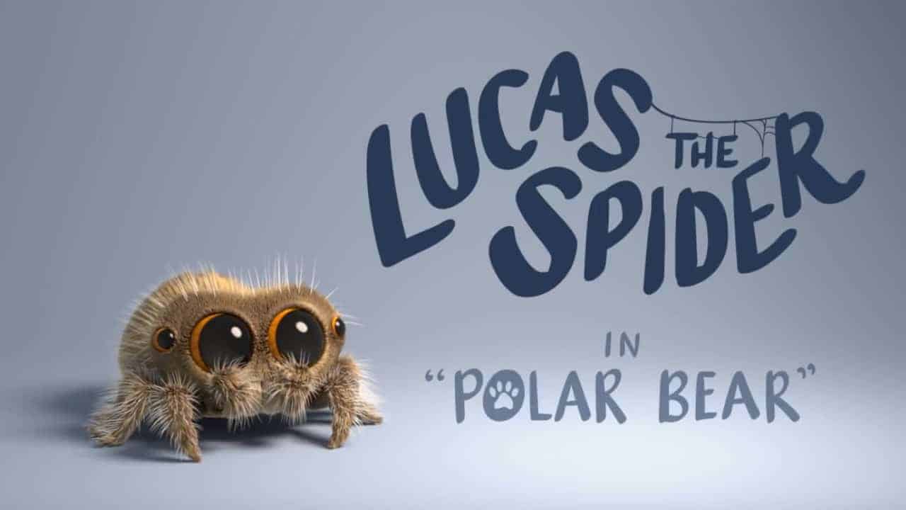 Lucas, die niedliche Spinne trifft einen Eisbär