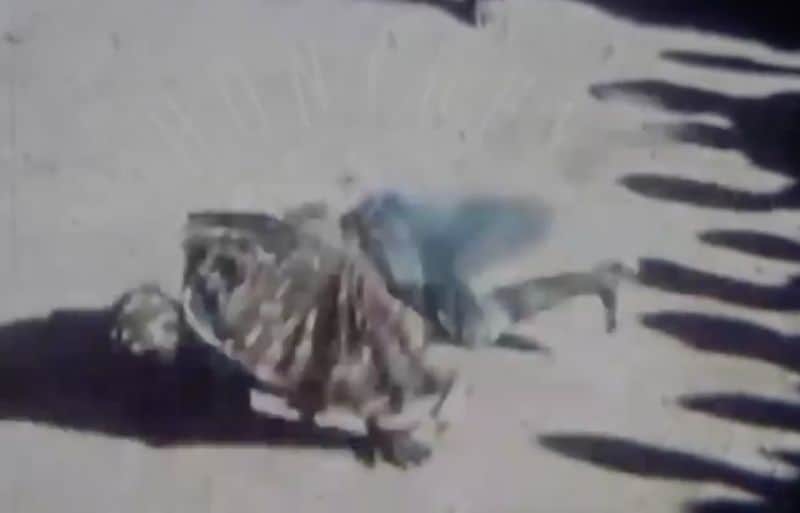 Nigerian Break Dancing 1959