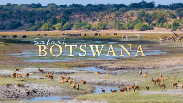 Lors d'un safari en hyperlapse à travers le Botswana en 4K