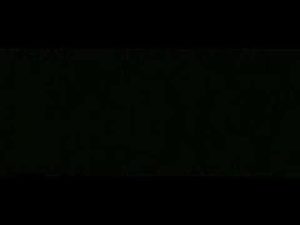 amusement 300x225