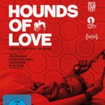 "Hounds of Love"