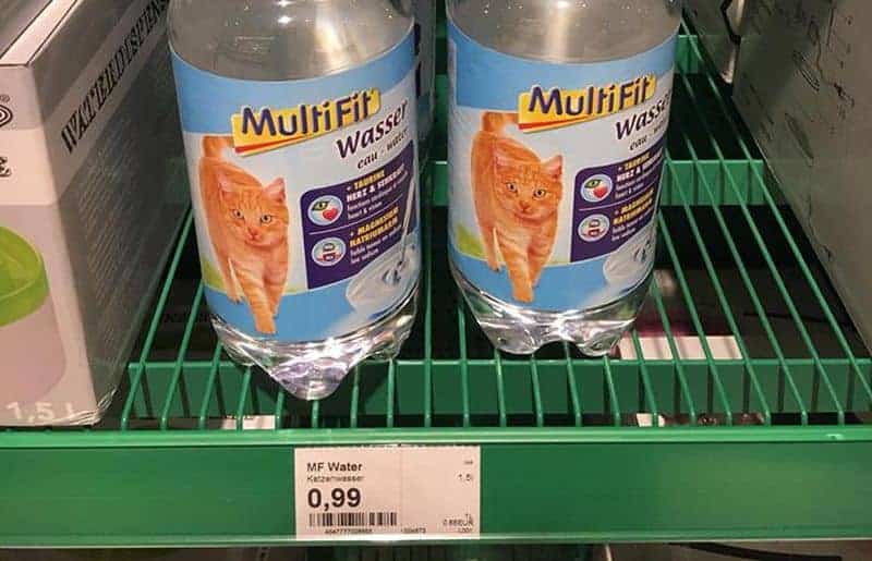 Wasser für Katzen