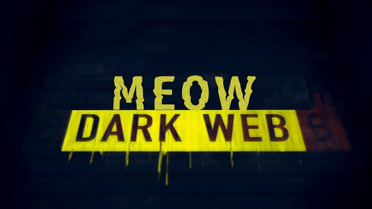 Meow Dark Web