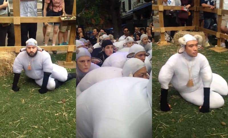Menschen, die sich als Schafe verkleiden und sich wie diese verhalten 🐑