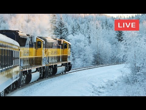 24/7 livestream from the driver's cab of Norway's Nordlandsbanen