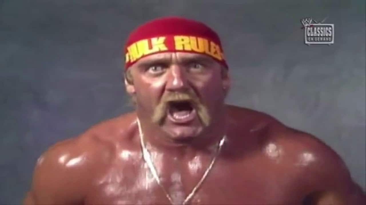 Hulk Hogan vs Macho Man Breathing Match