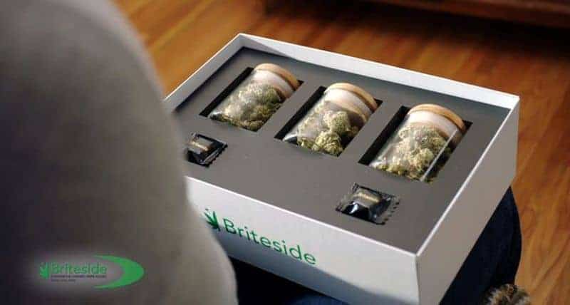 Briteside Cannabis Delivery. Discover the Best Cannabis at brtside.com